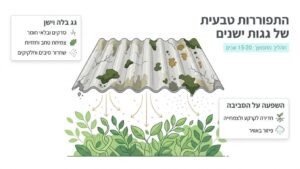 גג צמנט ישן ומתפורר מעל צמחיית גינה ירוקה