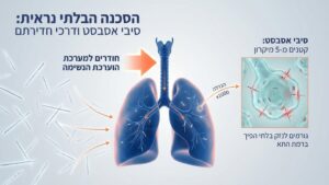 המחשה של סכנות בריאותיות מסיבי אסבסט